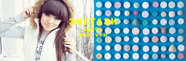 ECSTASY Богородицк