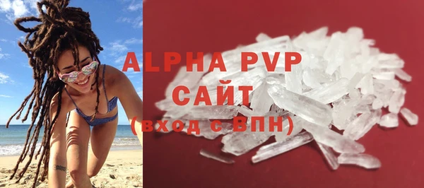 ECSTASY Богородицк