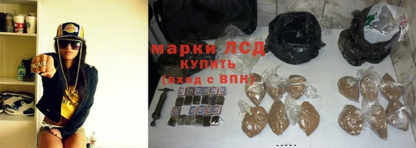 ECSTASY Богданович