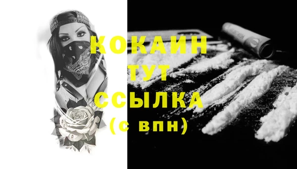 ECSTASY Богданович
