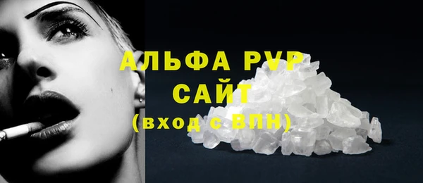 ECSTASY Богданович