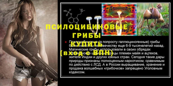ECSTASY Богородицк