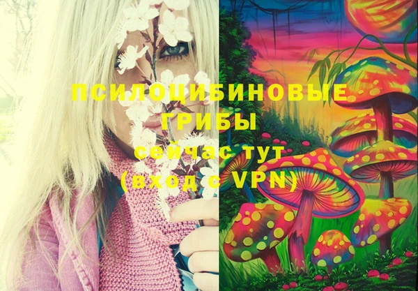 ECSTASY Богородицк
