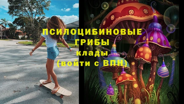 COCAINE Богородск