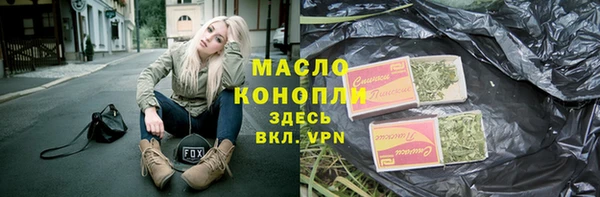 ECSTASY Богданович