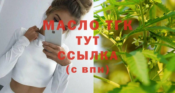 ECSTASY Богданович
