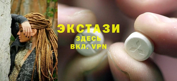 ECSTASY Богородицк