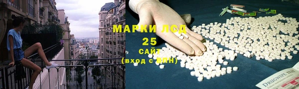 ECSTASY Богданович